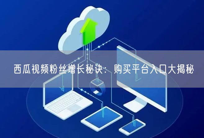 西瓜视频粉丝增长秘诀：购买平台入口大揭秘