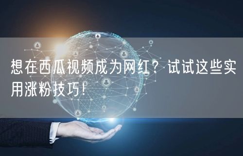 想在西瓜视频成为网红？试试这些实用涨粉技