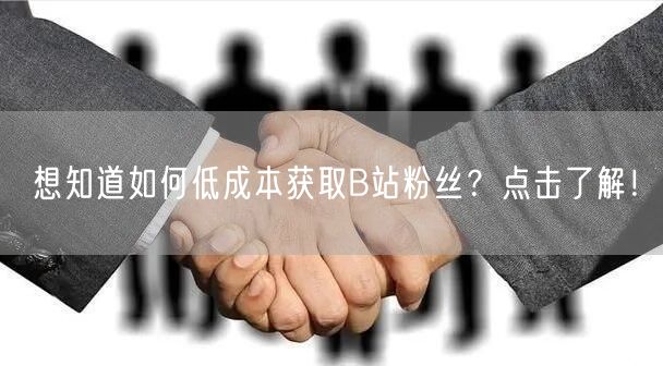 想知道如何低成本获取B站粉丝？点击了解！