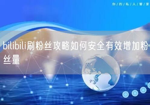 bilibili刷粉丝攻略如何安全有效增加粉丝量