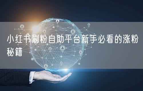 小红书刷粉自助平台新手必看的涨粉秘籍