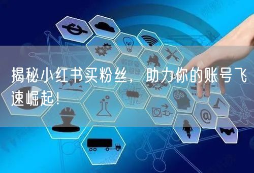 揭秘小红书买粉丝，助力你的账号飞速崛起！