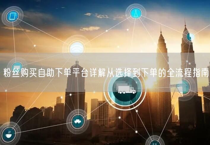 粉丝购买自助下单平台详解从选择到下单的全流程指南