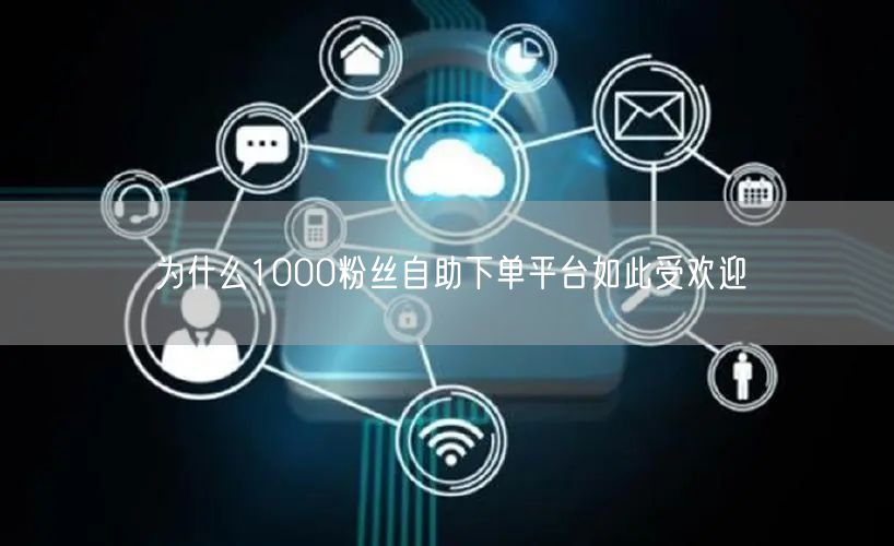 为什么1000粉丝自助下单平台如此受欢迎